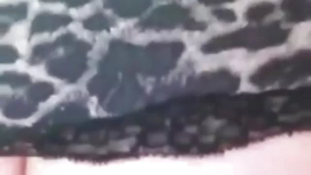 جوجه آبدار برای مصاحبه آمد و به یک بازیگر خصوصی رسید