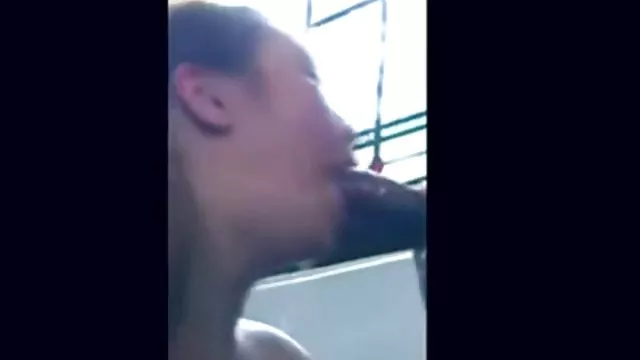 صبح که نشستم روی بیدمشک یکی از دوستانم روی صورتم نشست و با یک فاک ملایم اغوا شدم